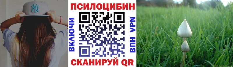 Галлюциногенные грибы Psilocybine cubensis kraken рабочий сайт Сердобск