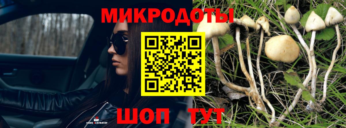 Псилоцибиновые грибы Psilocybe  Галлюциногенные грибы GOLDEN TEACHER  Сердобск  Вход с VPN 